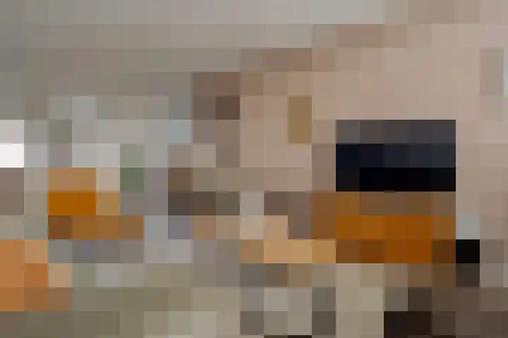 Smetanalaan 308 Assen thumbnail 14