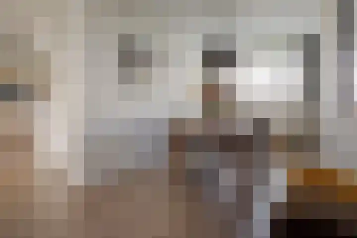 Smetanalaan 308 Assen thumbnail 20