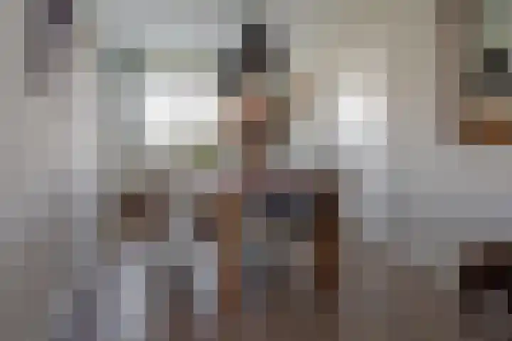 Smetanalaan 308 Assen thumbnail 21