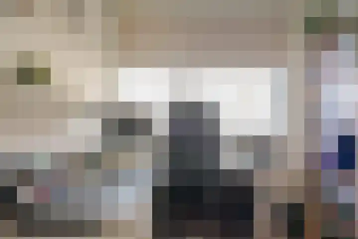 Smetanalaan 308 Assen thumbnail 23