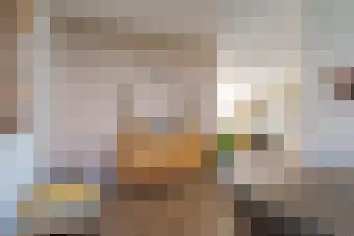 Smetanalaan 308 Assen thumbnail 24