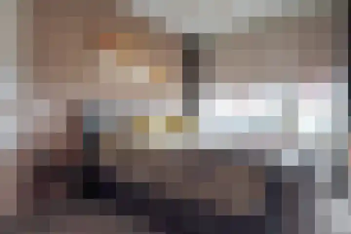 Smetanalaan 308 Assen thumbnail 27