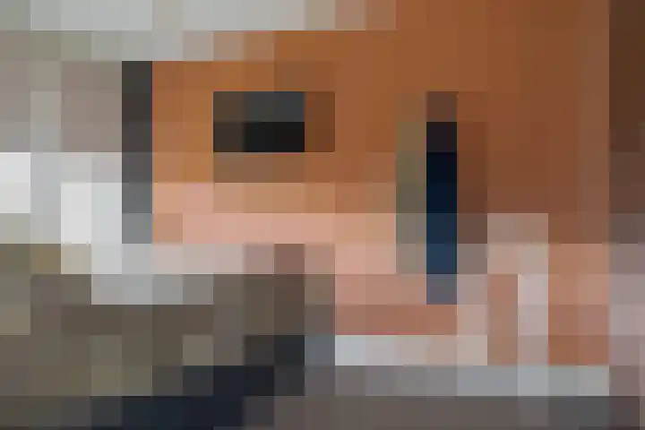 Smetanalaan 308 Assen thumbnail 28