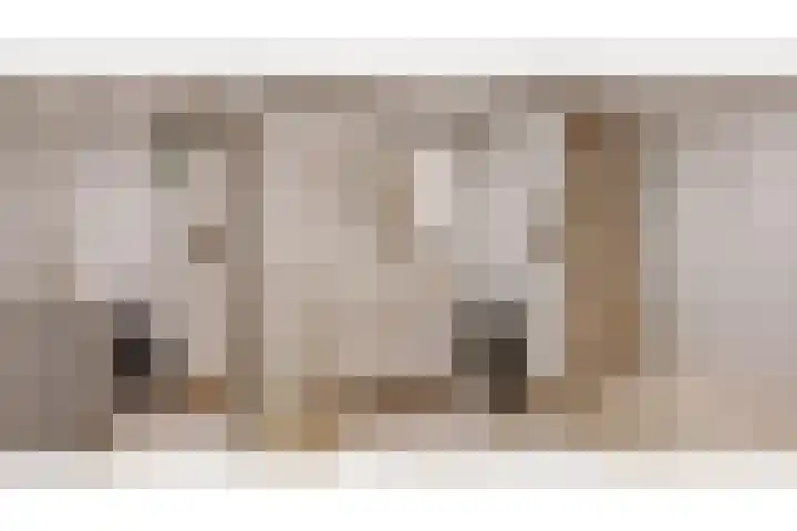 Smetanalaan 308 Assen thumbnail 33
