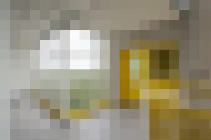 Smetanalaan 308 Assen thumbnail 36