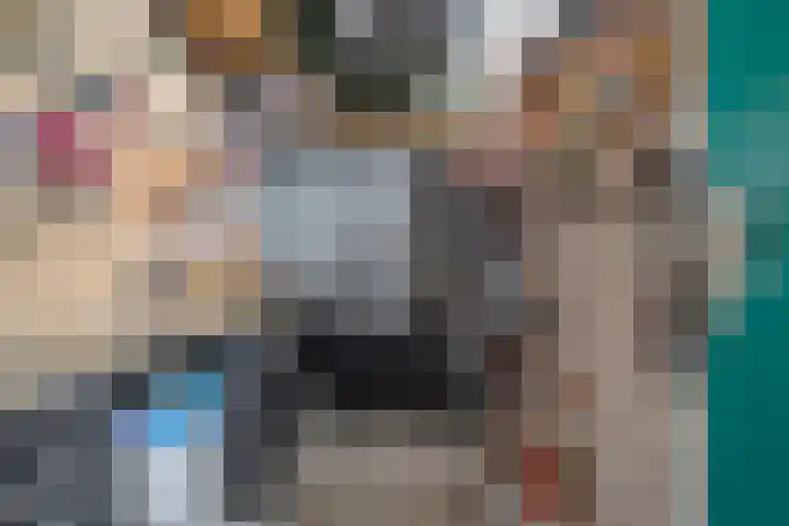 Smetanalaan 308 Assen thumbnail 39