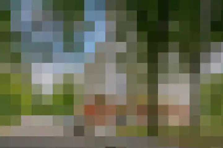 Smetanalaan 308 Assen thumbnail 46