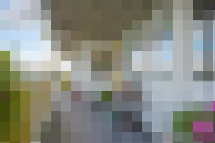 Smetanalaan 308 Assen thumbnail 5