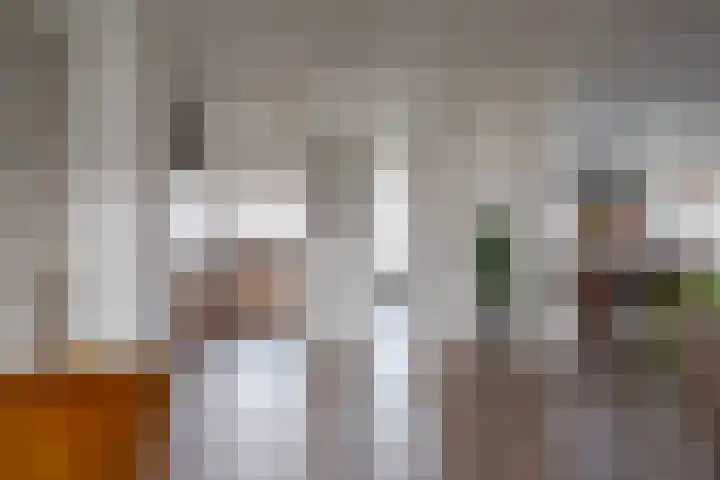 Smetanalaan 308 Assen thumbnail 8