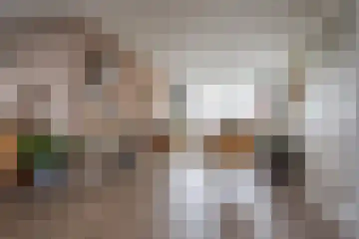 Smetanalaan 308 Assen thumbnail 9