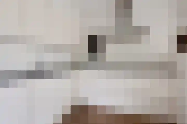 Smetanalaan 37 B Assen thumbnail 10