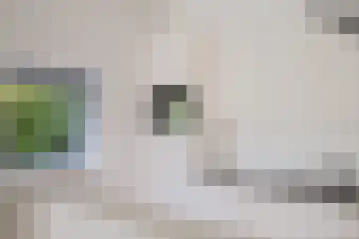 Smetanalaan 37 B Assen thumbnail 11