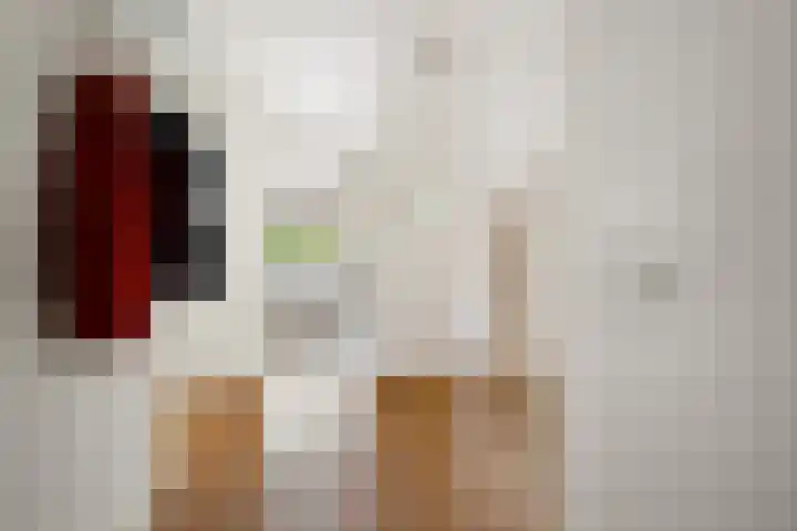 Smetanalaan 37 B Assen thumbnail 12