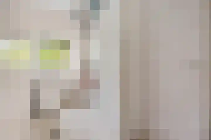 Smetanalaan 37 B Assen thumbnail 17