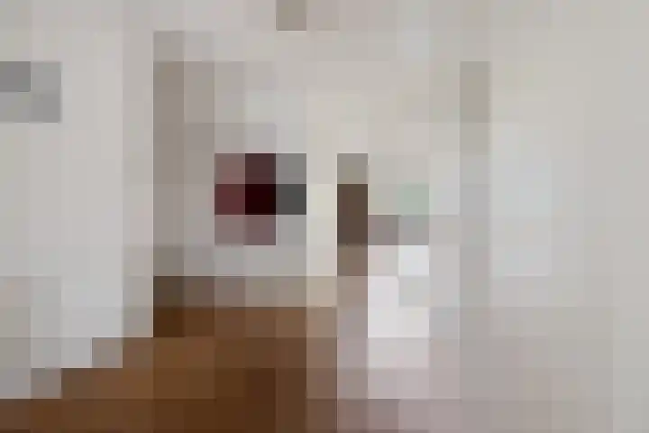 Smetanalaan 37 B Assen thumbnail 18