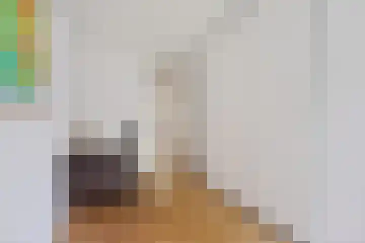 Smetanalaan 37 B Assen thumbnail 20
