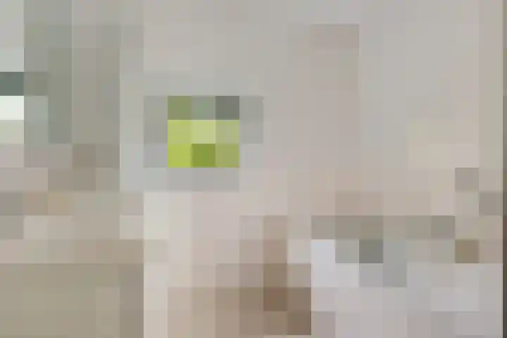 Smetanalaan 37 B Assen thumbnail 24