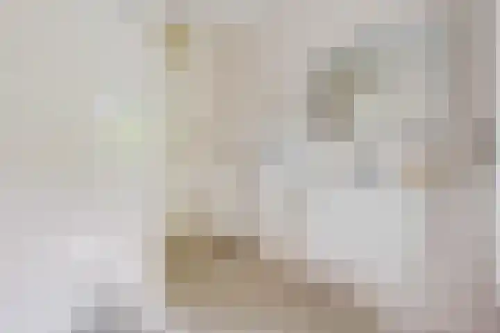 Smetanalaan 37 B Assen thumbnail 25