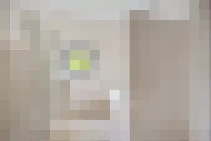 Smetanalaan 37 B Assen thumbnail 26