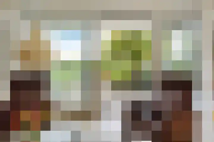 Smetanalaan 37 B Assen thumbnail 27