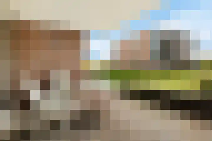 Smetanalaan 37 B Assen thumbnail 28
