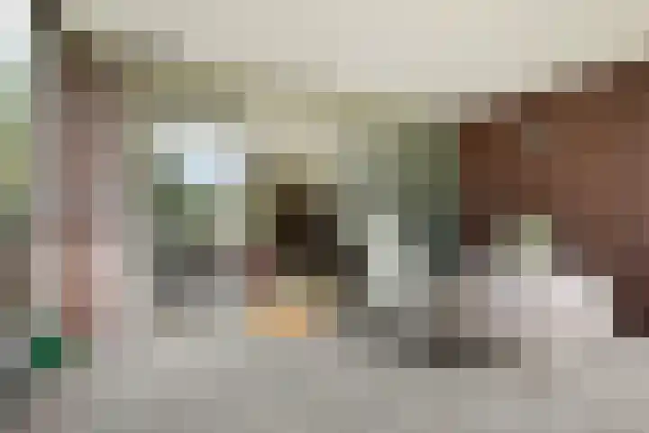 Smetanalaan 37 B Assen thumbnail 29