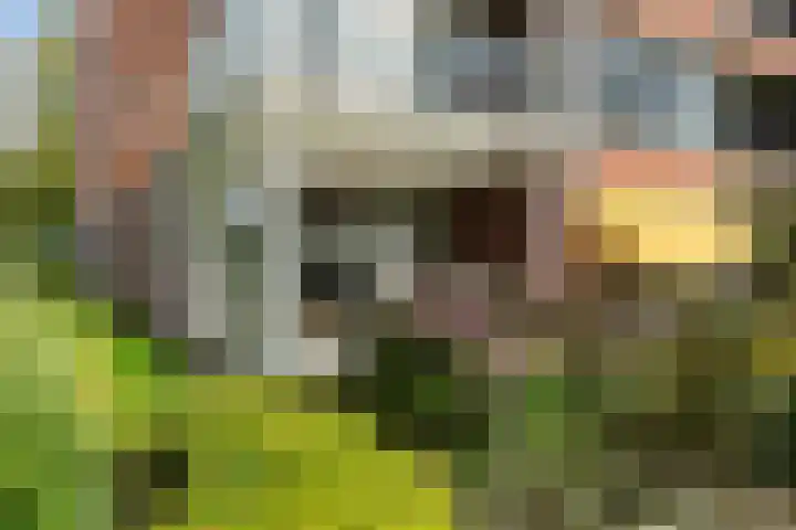 Smetanalaan 37 B Assen thumbnail 30