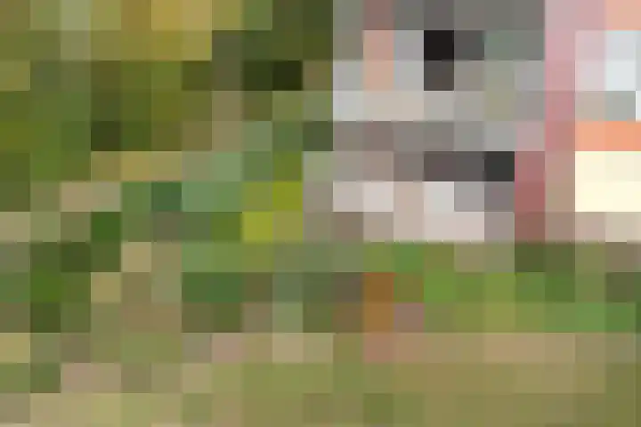 Smetanalaan 37 B Assen thumbnail 33