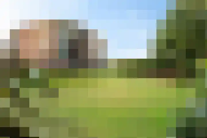 Smetanalaan 37 B Assen thumbnail 34