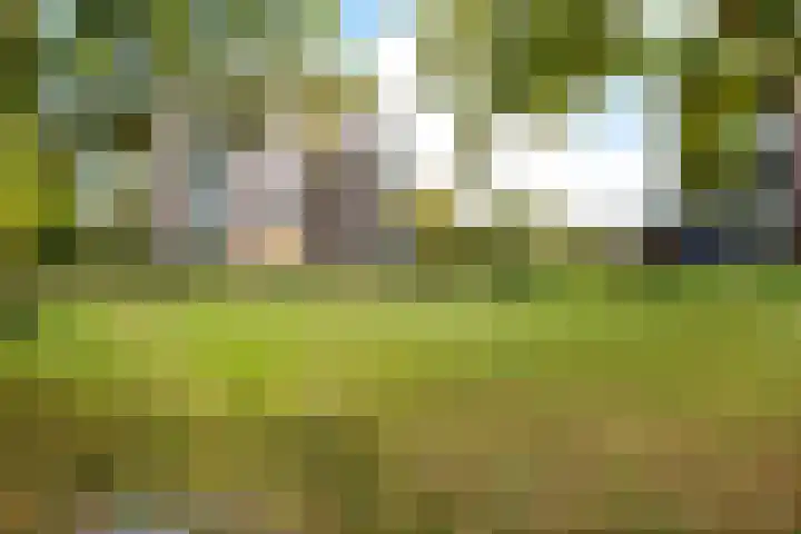 Smetanalaan 37 B Assen thumbnail 35