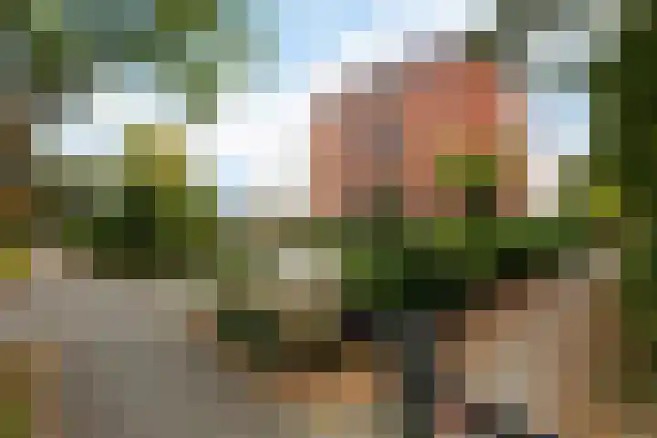 Smetanalaan 37 B Assen thumbnail 37
