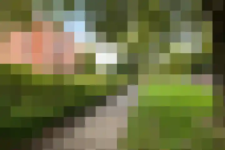 Smetanalaan 37 B Assen thumbnail 38