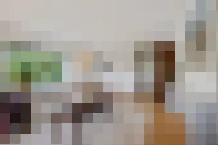 Smetanalaan 37 B Assen thumbnail 4