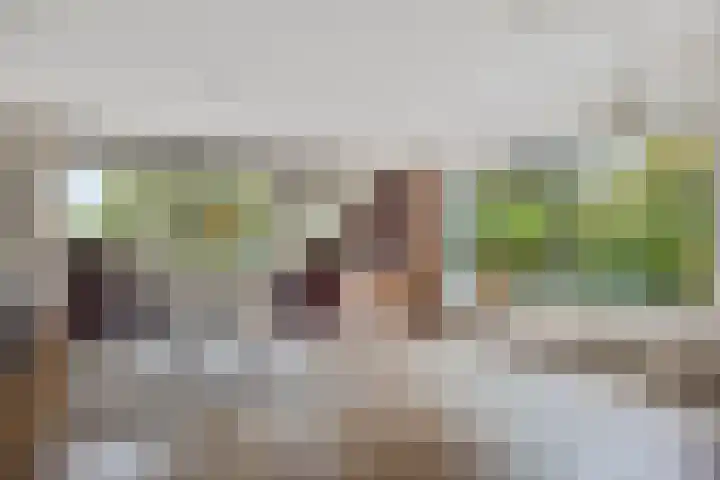 Smetanalaan 37 B Assen thumbnail 6