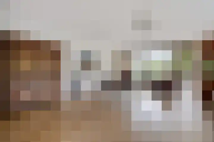 Smetanalaan 37 B Assen thumbnail 7