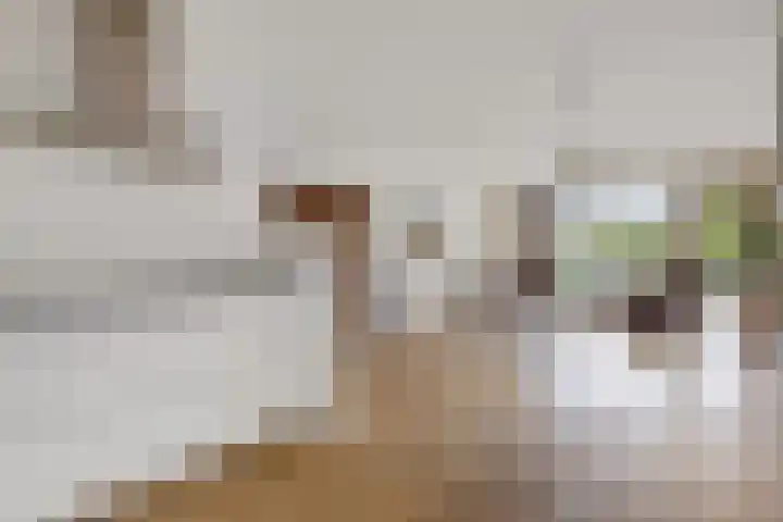 Smetanalaan 37 B Assen thumbnail 8