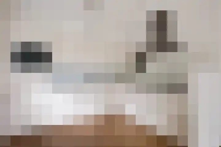 Smetanalaan 37 B Assen thumbnail 9