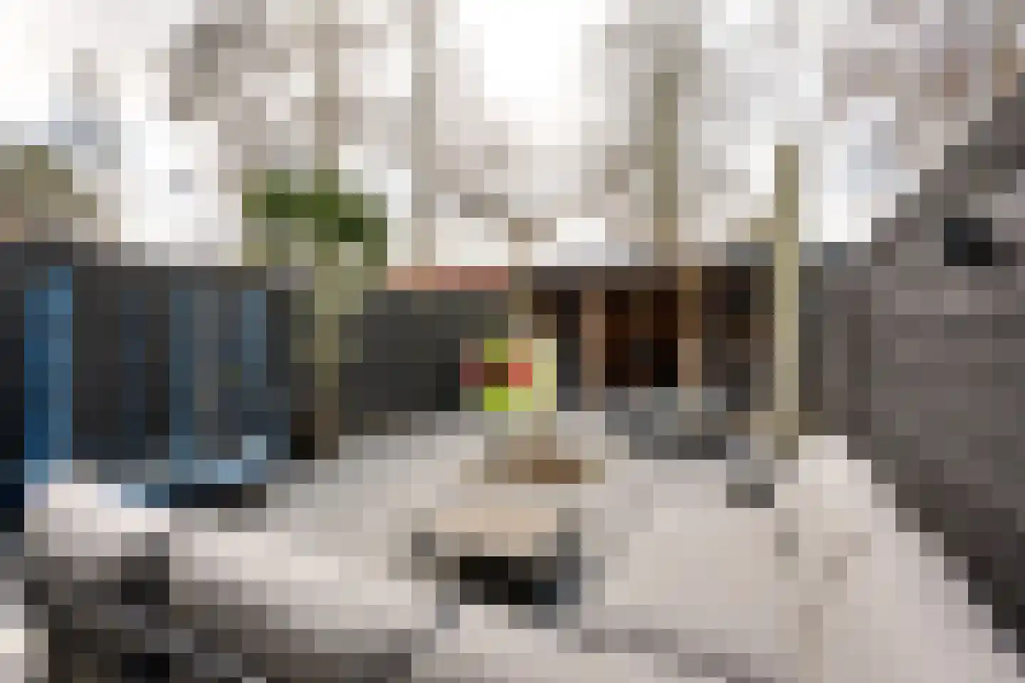 Smetanalaan 38 Schiedam thumbnail 18