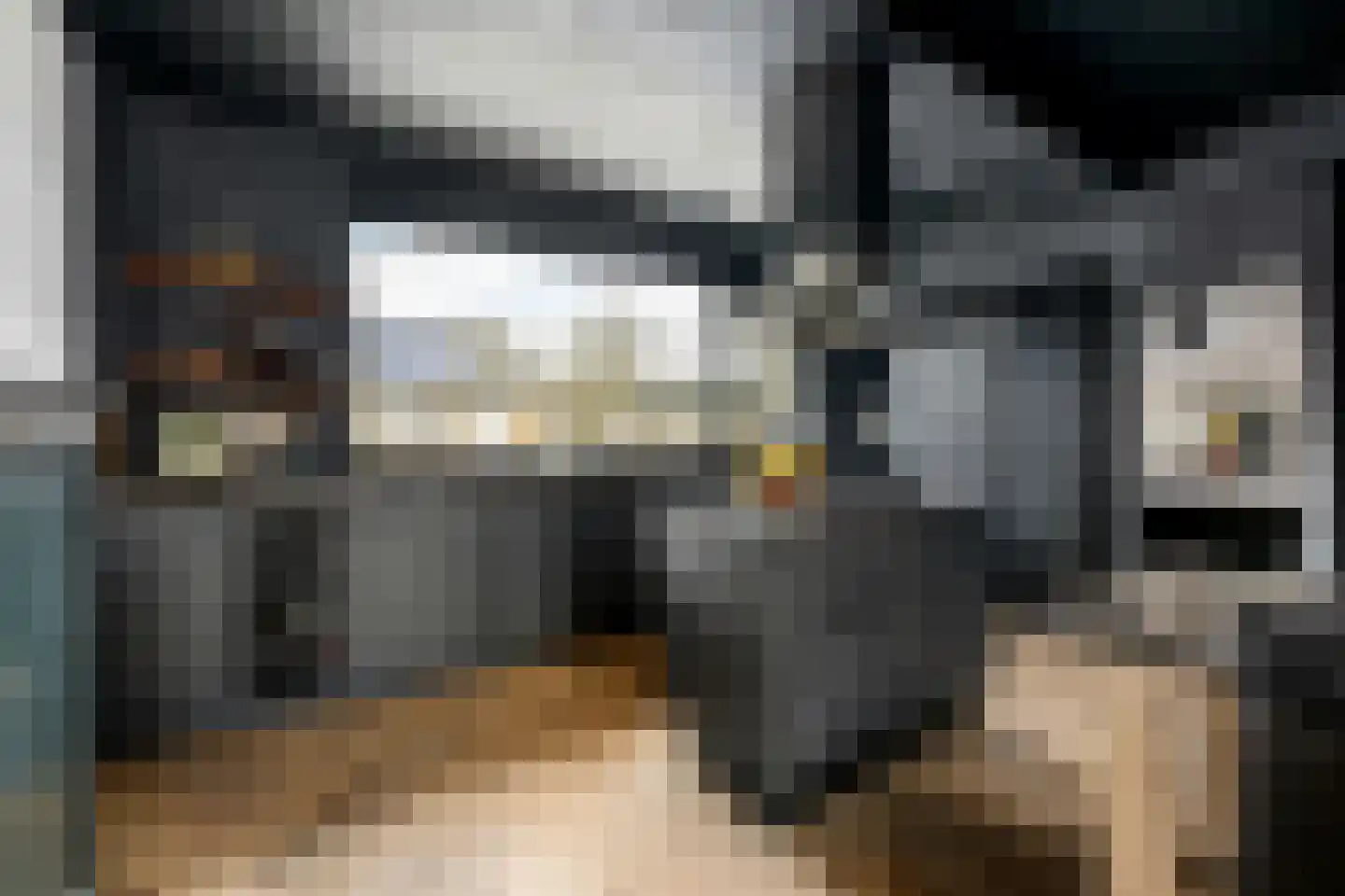 Smetanalaan 38 Schiedam thumbnail 20