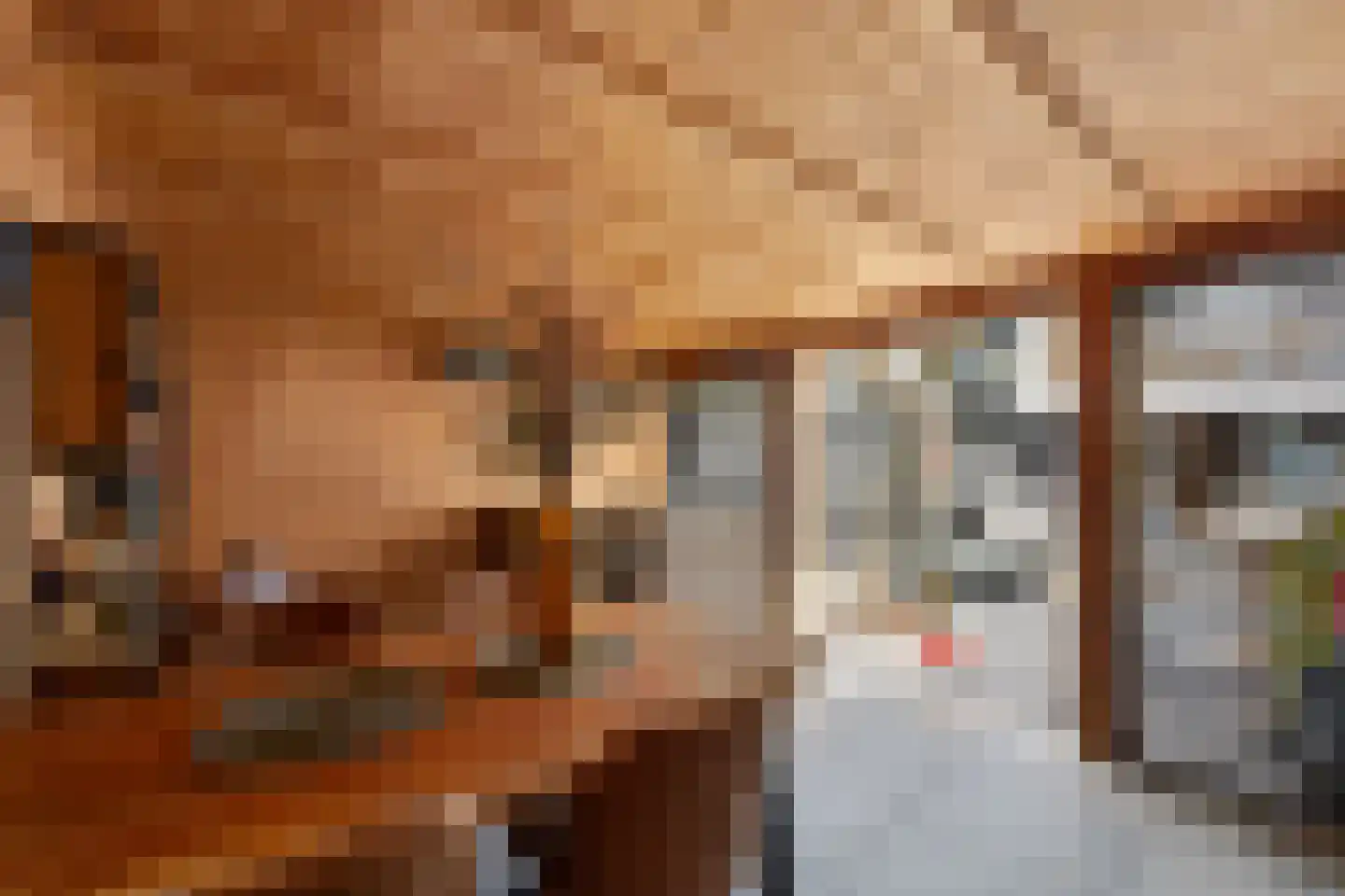 Smetanalaan 38 Schiedam thumbnail 4