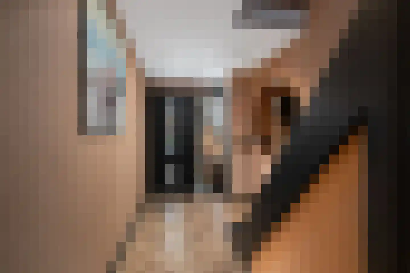 Smetanalaan 38 Schiedam thumbnail 5
