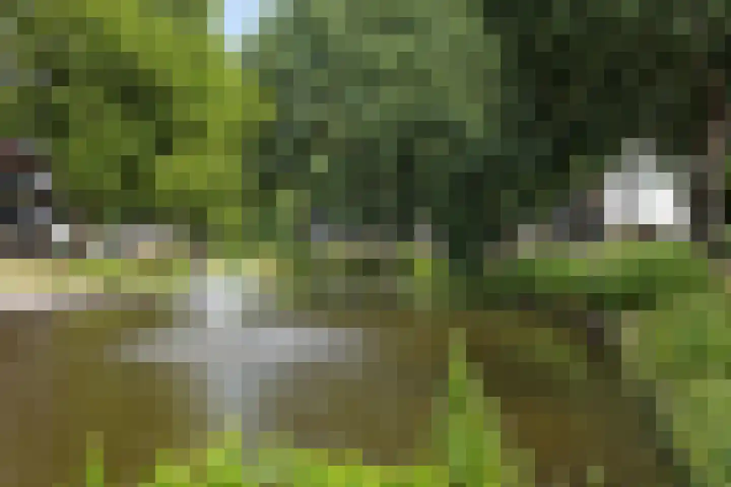 Smetanalaan 38 Schiedam thumbnail 52