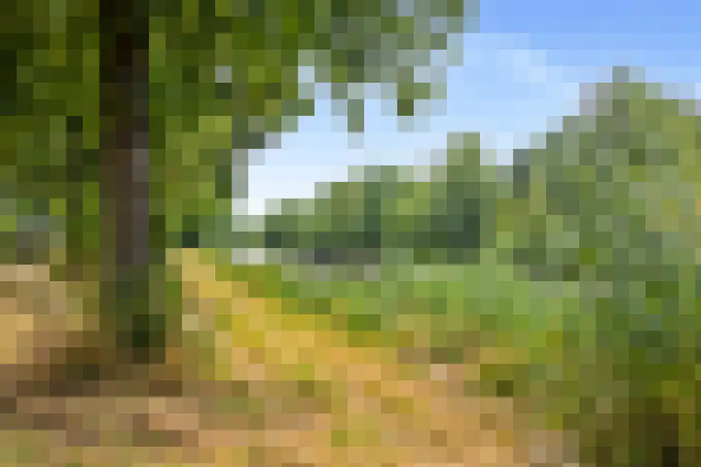 Smetanalaan 38 Schiedam thumbnail 55