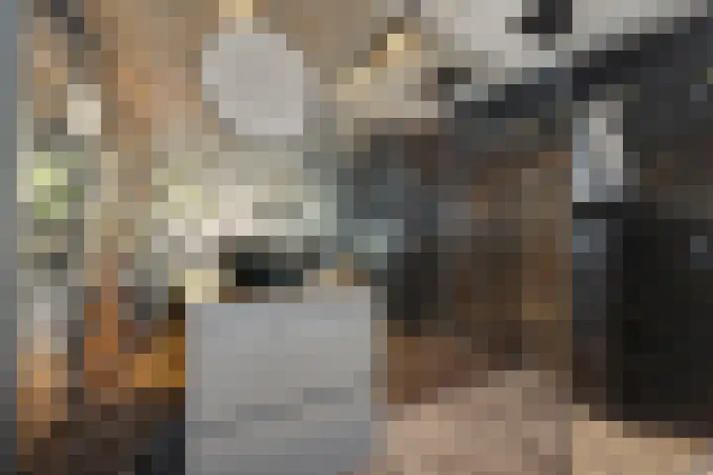 Smetanalaan 38 Schiedam thumbnail 8