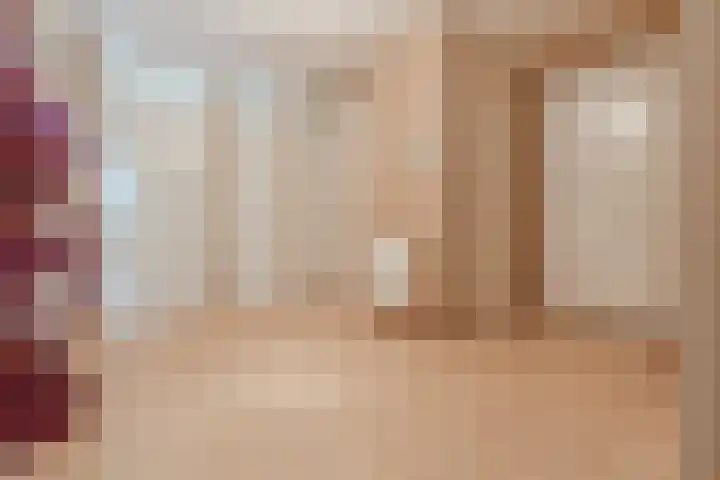 Smetanalaan 41 C Assen thumbnail 22