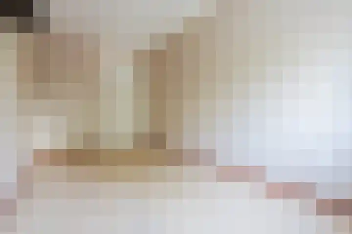 Smetanalaan 41 C Assen thumbnail 26