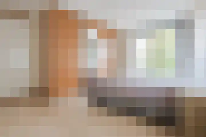 Smetanalaan 41 C Assen thumbnail 29