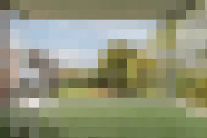 Smetanalaan 41 C Assen thumbnail 38