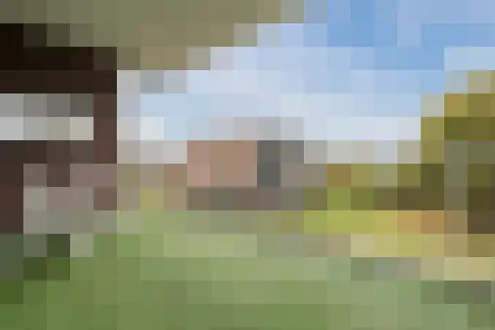 Smetanalaan 41 C Assen thumbnail 39