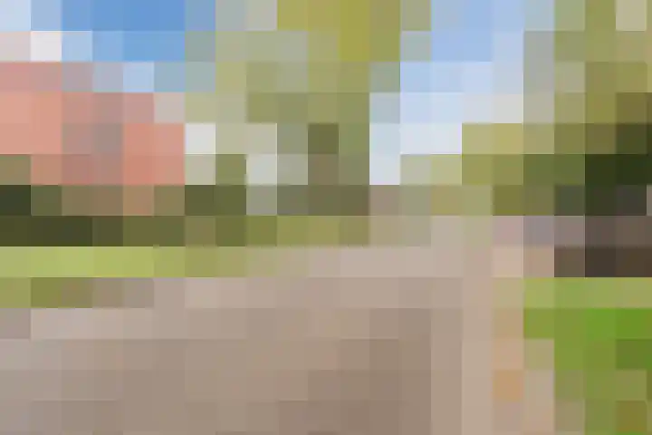Smetanalaan 41 C Assen thumbnail 4